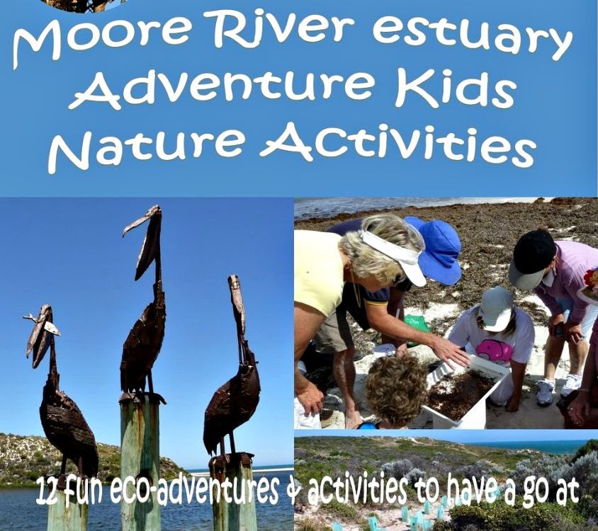 Kids-Nature-Activity